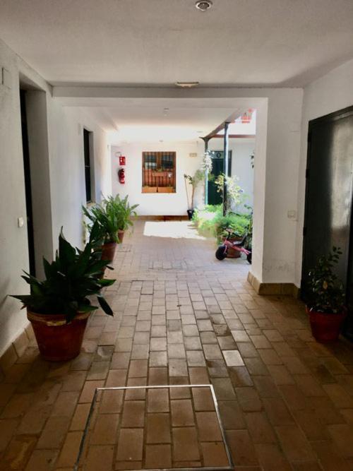 Ferienwohnung La Terraza Azul Sevilla Exterior foto